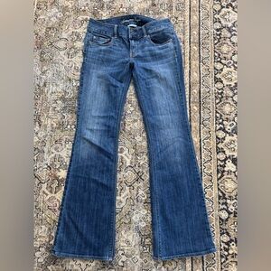American Eagle Outfitters Blue Flare Wide Leg Jeans